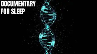 Microbiome: Are Trillions of Gut Bacteria Secretly Controlling Your Mind? | Documentary For Sleep