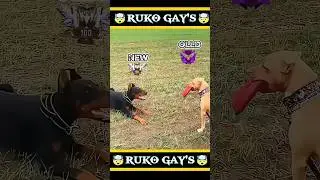 New free fire vs old free fire 😅😅#viralvideo #shorts #trending #foryou