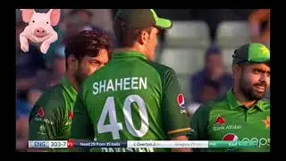 Pakistani cricketers fight during the match - Sarfaraz vs Shadab