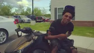 Starlife Arod 