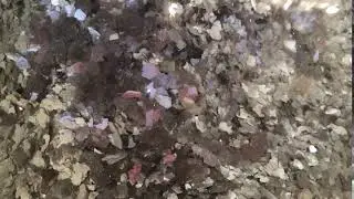 Silver Mica Flakes