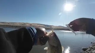 Quail Lake Bass Fishing (Honest Opinion )