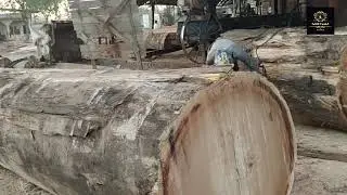 #viral india #kandla port ऐसी क्या है कांडला पोर्ट में जो पूरे भारत की सप्लाई की पूर्ति करता है ।