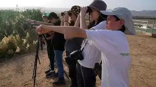 אלופי הנדידה: חובבי הצפרות התכנסו לזהות מעופפים בשמי אילת