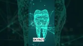 TOP 5 GK FACK#facts #gk #viralshorts