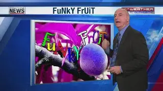 FuNkY FrUiT Beat Up Pepper