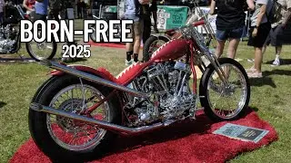 Born Free 2025 invited builders section #DicEtv