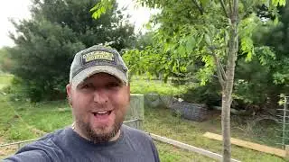 S2 E22: Fixing Fences on the Homestead for the Mini cows