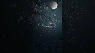 In the Stars - Benson Boone | lyrics | aesthetic | Whatsapp Status | English songs | speed up