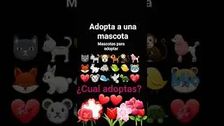 #short #Adoptar a una mascota❤