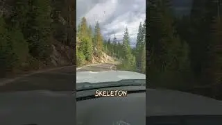 🚗 Driving on the edge of a mountain! #nationalforest #remote #overlanding #countrydrive #longtrail