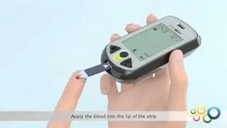 EASYMAX&reg; Voice Blood Glucose Test