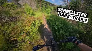 Mit Vollgas auf Ilsenburgs geheimen Speed-Trail