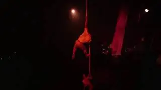Emerald City Trapeze's Spring Show: Wild is the Wind Teaser