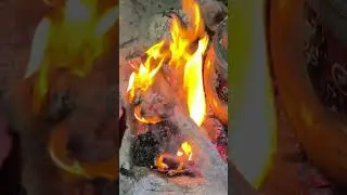 Мы выжили 48 часов на отдалённом острове. Добываем еду сами. 2 6