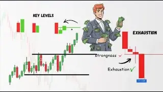 Paid Zoom Class = Understand Reversal Entries| Marubozu & Exhaustion Candle, Fake Moves | Finflow