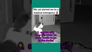 My cat alerted me to a medical emergency 🚨