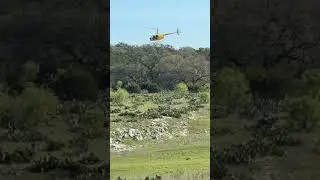 You can run but you can&rsquo;t hide! Heli hog hunt! #helicopter #hunting #pigs #texas #outdoors #guide