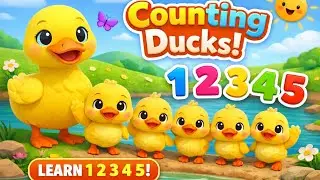 Counting Ducks Song  | Five Little Ducks | Kids Educational Rhyme