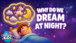 Why Do We Dream at Night? 🌙✨ | Sleep & Brain Science for Kids | Curiously Kids