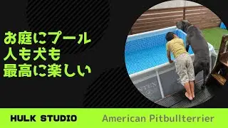 お庭にデカイプール置いたら最高だったよ