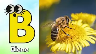 ABC Insekten Lied 🐜🦋 | Lustiges Alphabet Lied f&uuml;r Kinder mit Insekten & Ger&auml;uschen | Deutsch lernen