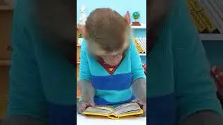 #monkey #monkeybaby #animalshome #nurseryrhymes #cocomelon #babyshark