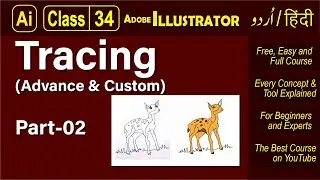 Class 34 - Tracing (Advance & Custom) Part 02 - Adobe Illustrator 2021 Tutorial Urdu Hindi