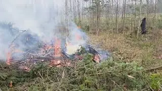 Palaako oksat.🌲🔥🔥