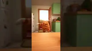 Wanneer de kat van huis is dansen de muizen op tafel. #shortvideo #shorts #kids #katten #comedy