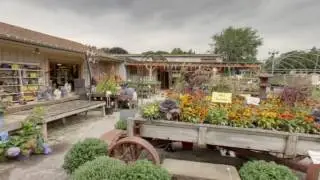 Tree Nursery Wisconsin | Nursery Plants