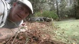 BEST NEW HOLIDAY SONG - EVER!!! &ldquo;Trapper the Big Nosed Alligator&rdquo;