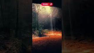 Tropical Cave Oasis: Winter Rain Serenity Amidst Nature's Grandeur #TropicalCaveOasis #CaveEscape