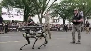 'The future' of military combat: Robotic dog walks in Army parade on Donald Trump's birthday