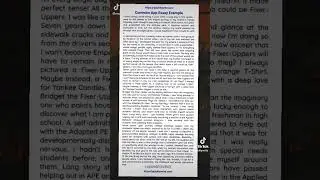 Common App Essay Student Sample
