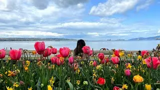Walking from English Bay Beach to Stanley Park | Vancouver, Canada