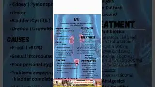 🚑 uti explained: opd guide for what to do next #uti #healthcare #viral #short