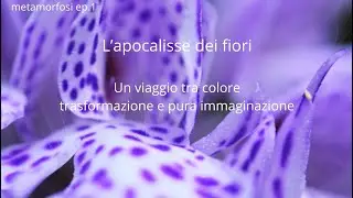 l'apocalisse dei fiori