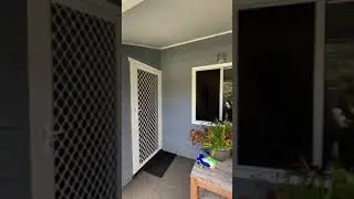Virtual Tour