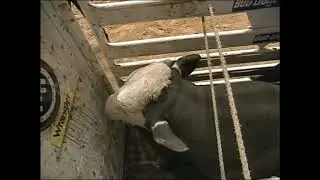 Dillinger bucks Chris Sorace - 00 PBR Ft. Worth