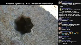 What Are Rights Really? What Species Have Them? Why?