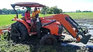 TRACTOR | TRACTOR CULTIVATOR | RICE FARMING #viral #agriculture #trending #tractor 