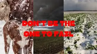 Extreme Weather Farming | Tips & Techniques For Success!