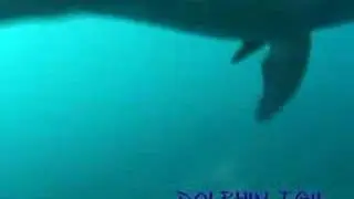 みらいじま20080516_12