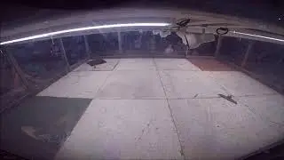 Dark Pummler vs Robot Fighter