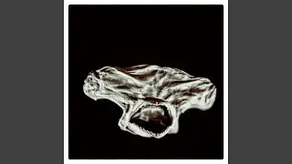 Galvanized