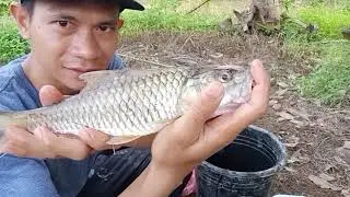 Fokus gabus bonus ikan ini
