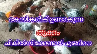 കോഴികളിൽ കണ്ട് വരുന്ന തൂക്കം /എങ്ങിനെ മാറ്റി എടുക്കാം #kozhi valarthal #trending vedio