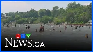 &lsquo;Quick-thinking&rsquo; 12-year-old helps save relative after medical emergency at Port Dover beach