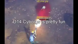 The Cyborg Experience